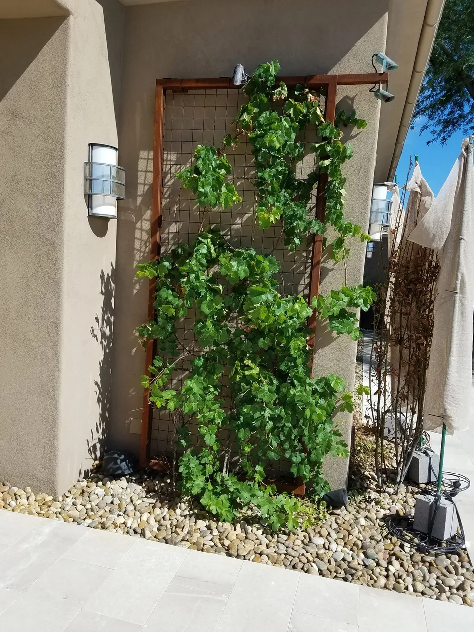 Raised Wall Planter