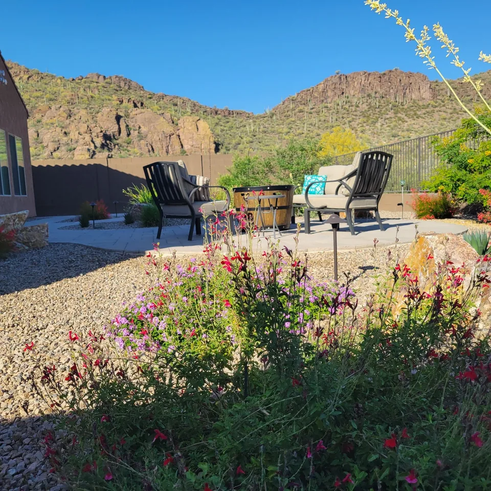 Backyard Planting and Seating