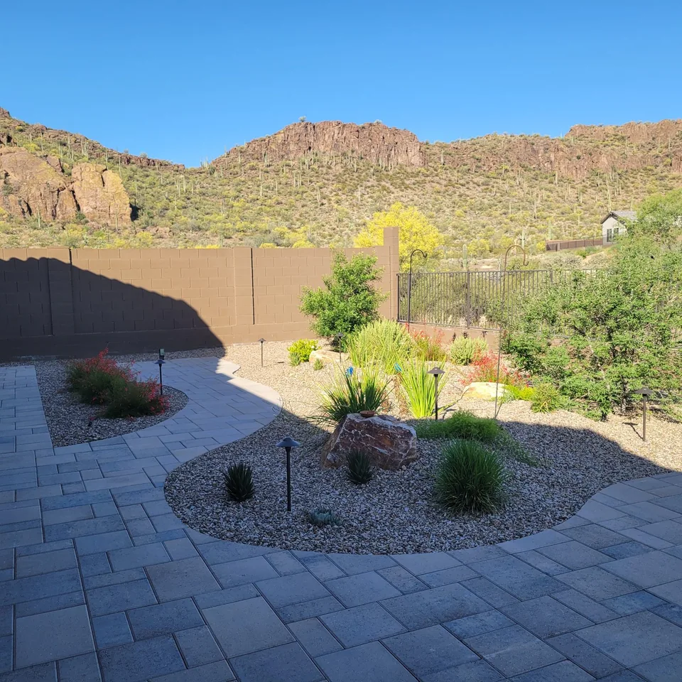 Desert Patio Planting