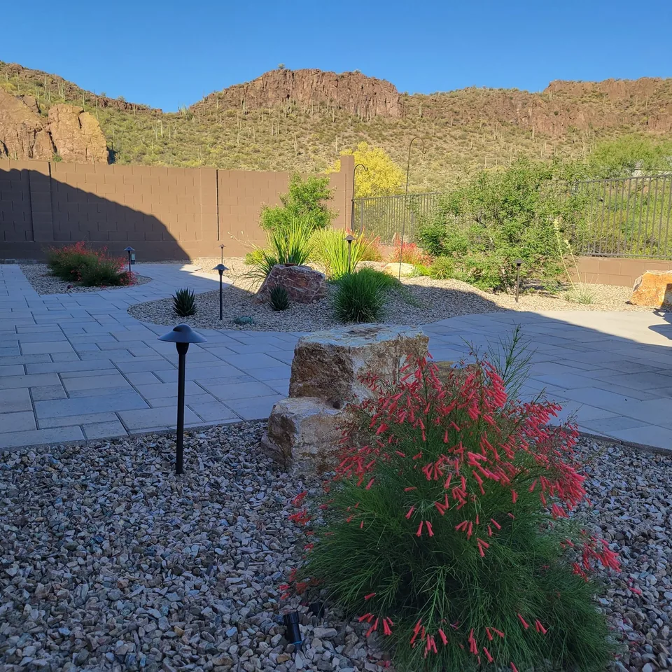 Red Bloom Desert Planting